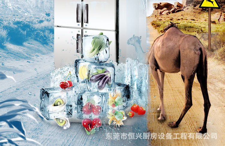 格林斯達(dá)星星冰柜商用工作臺冷藏冷凍四門機械控溫帶移動輪直銷